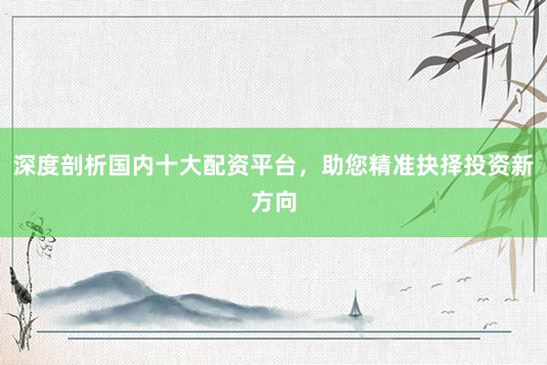 深度剖析国内十大配资平台，助您精准抉择投资新方向