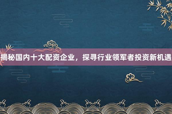 揭秘国内十大配资企业，探寻行业领军者投资新机遇