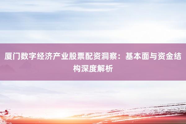 厦门数字经济产业股票配资洞察：基本面与资金结构深度解析