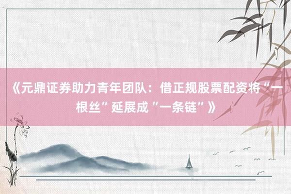 《元鼎证券助力青年团队：借正规股票配资将“一根丝”延展成“一条链”》