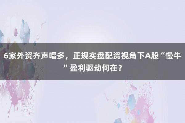 6家外资齐声唱多，正规实盘配资视角下A股“慢牛”盈利驱动何在？