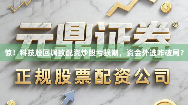惊！科技股回调致配资炒股亏损潮，资金外逃咋破局？
