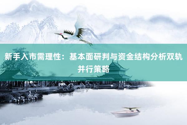 新手入市需理性：基本面研判与资金结构分析双轨并行策略