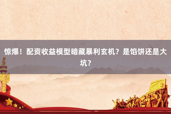惊爆！配资收益模型暗藏暴利玄机？是馅饼还是大坑？