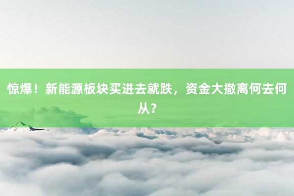 惊爆！新能源板块买进去就跌，资金大撤离何去何从？