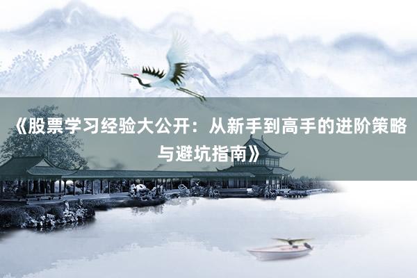 《股票学习经验大公开：从新手到高手的进阶策略与避坑指南》