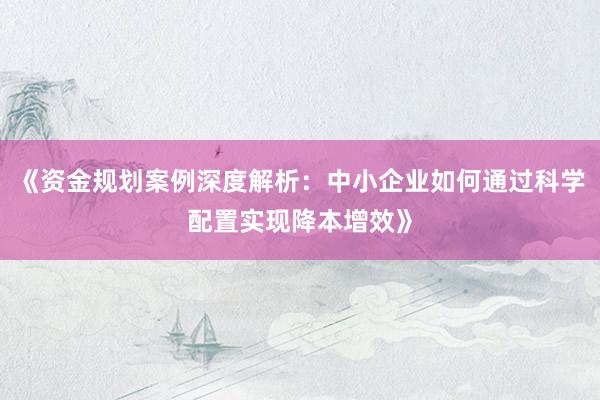 《资金规划案例深度解析：中小企业如何通过科学配置实现降本增效》