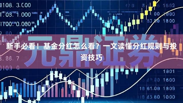 新手必看！基金分红怎么看？一文读懂分红规则与投资技巧