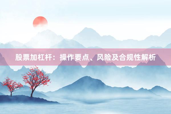 股票加杠杆：操作要点、风险及合规性解析