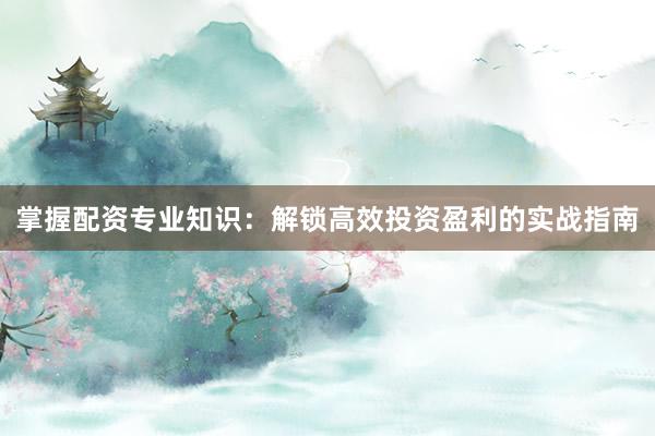 掌握配资专业知识：解锁高效投资盈利的实战指南