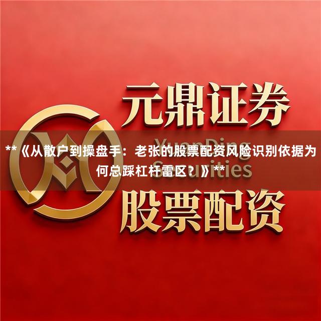 **《从散户到操盘手：老张的股票配资风险识别依据为何总踩杠杆雷区？》**