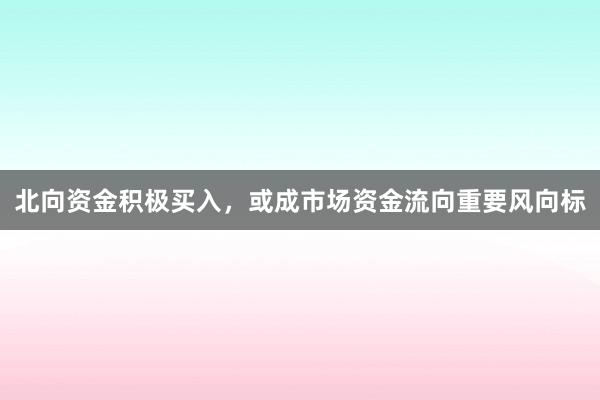 北向资金积极买入，或成市场资金流向重要风向标