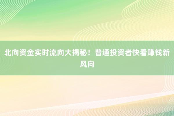 北向资金实时流向大揭秘！普通投资者快看赚钱新风向