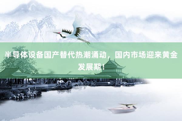 半导体设备国产替代热潮涌动，国内市场迎来黄金发展期！